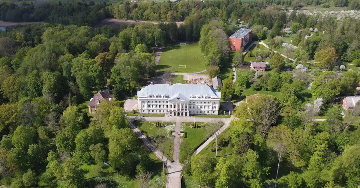 Wanddecoratie voor uw vakantiepark: sfeervolle beleving